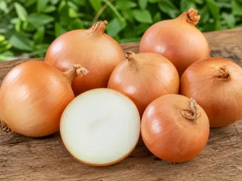 Cebola