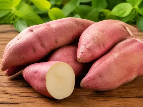 Batata-doce
